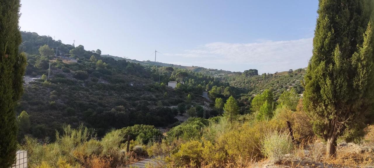 Casas Rurales Las Vinas Osuna Bagian luar foto